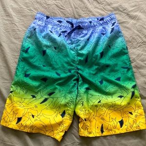 Arizona boys swim trunks size XL 18/20